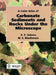 A Color Atlas of Carbonate Sediments and Rocks Under the Microscope by A. E. Adams