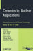 Ceramics in Nuclear Applications by Yutai Katoh