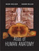 Atlas of Human Anatomy by Mark Nielsen