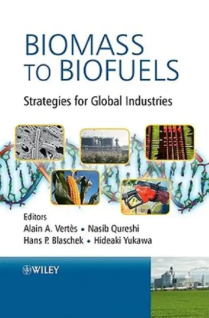 Biomass to Biofuels: Strategies for Global Industries by Alain A. Vertes