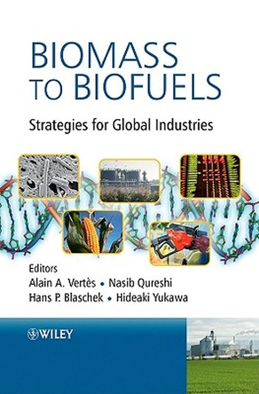 Biomass to Biofuels: Strategies for Global Industries by Alain A. Vertes