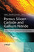 Porous Silicon Carbide And Gallium Nitride: Epitaxy, Catalysis, and Biotechnology Applications by Randall M. Feenstra, Dr Colin E. C. Wood