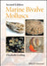 Marine Bivalve Molluscs by Elizabeth Gosling