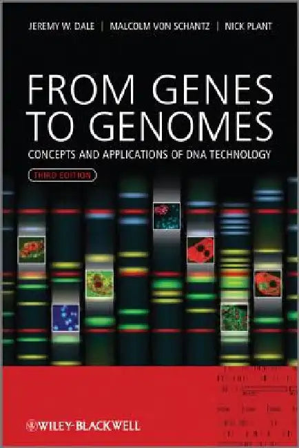 From Genes to Genomes: Concepts and Applications of DNA Technology by Jeremy W. Dale