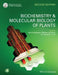 Biochemistry and Molecular Biology of Plants by Bob B. Buchanan