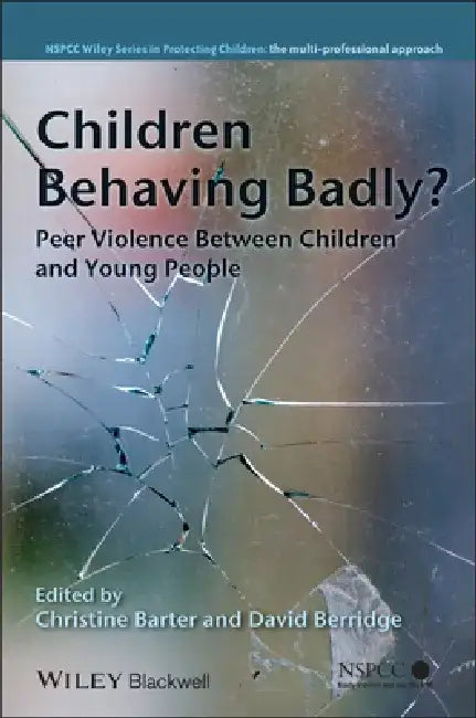 Children Behaving Badly?: Peer Violence Between Children and Young People by Christine Barter