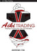 Aiki Trading: Trading in Harmony with the Markets by Jeffery Tie