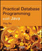 Practical Database Programming with Java by Ying Bai