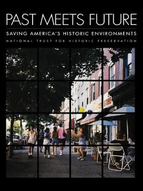 Past Meets Future: Saving America's Historic Environments by Antoinette J. Lee