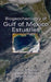 Biogeochemistry of Gulf of Mexico Estuaries by Editor: Thomas S. Bianchi, Editor: Jonathan R. Pennock, Editor: Robert R. Twilley (University of Southwestern Louisiana)