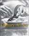Culinary Artistry by Andrew Dornenburg