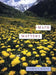 Math Matters by James V. Rauff
