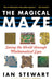 The Magical Maze: Seeing the World Through Mathematical Eyes by Ian Stewart