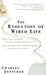The Evolution of Wired Life: From the Alphabet to the Soul-Catcher Chip -- How Information Technologies Change Our World by Charles Jonscher