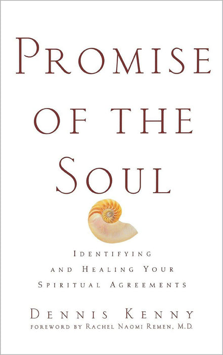 Promise Of The Soul: Identifying and Healing Your Spiritual Agreements