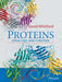 Proteins: Structure and Function by David Whitford