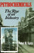 Petrochemicals: The Rise of an Industry by Peter H. Spitz