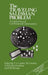 The Traveling Salesman Problem: A Guided Tour of Combinatorial Optimization by E. L. Lawler