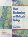 Plant Biochemistry and Molecular Biology by Per Lea