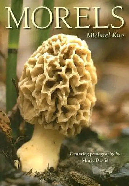 Morels by Michael Kuo
