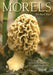Morels by Michael Kuo