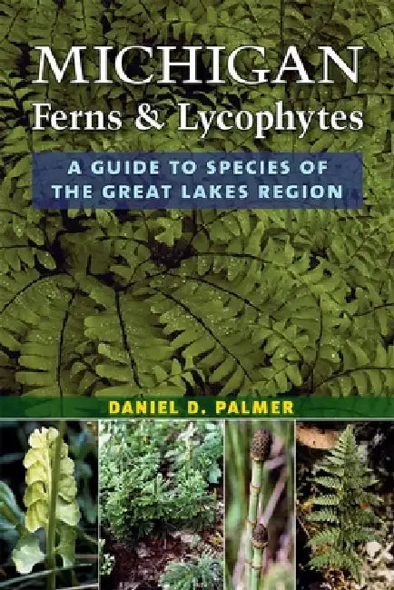 Michigan Ferns and Lycophytes: A Guide to Species of the Great Lakes Region by Daniel D. Palmer