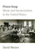 Prison Song: Music and Incarceration in the United States by David Metzer