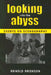 Looking Into the Abyss: Essays on Scenography by Arnold Aronson