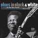 Blues in Black & White: The Landmark Ann Arbor Blues Festivals by Michael Erlewine, Stanley Livingston, Tom Erlewine