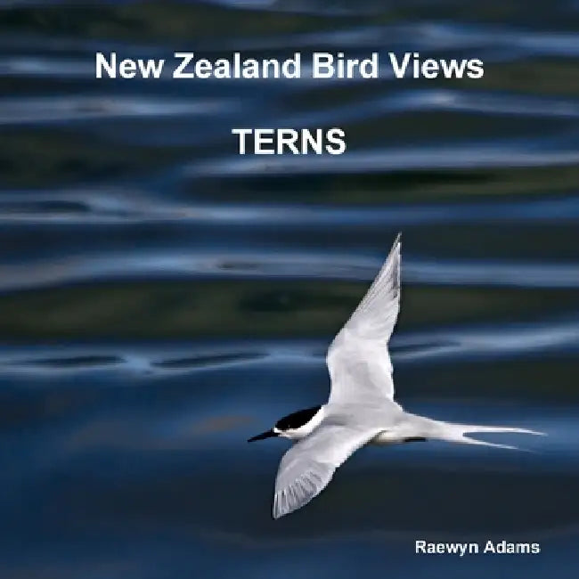 New Zealand bird views: terns by Raewyn Adams