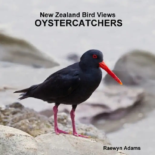 New Zealand Bird Views: Oystercatchers by Raewyn Adams