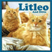 Litleo And Ditto by Linda Deane