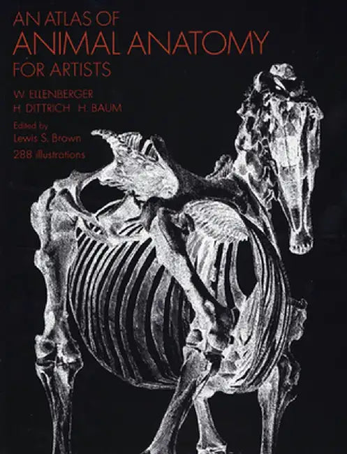 An Atlas of Animal Anatomy for Artists by W. Ellenberger