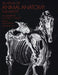 An Atlas of Animal Anatomy for Artists by W. Ellenberger