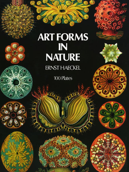 Art Forms in Nature by Ernst Haeckel