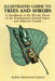 Illustrated Guide to Trees and Shrubs: A Handbook of the Woody Plants of the Northeastern United States and Adjacent Canada/Revised Edition by Arthur Harmount Graves