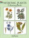 Medicinal Plants Coloring Book by Ilil Arbel