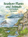 Seashore Plants and Animals Coloring Book by Dot Barlowe