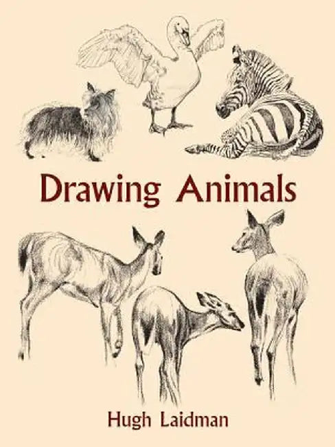 Drawing Animals by Hugh Laidman