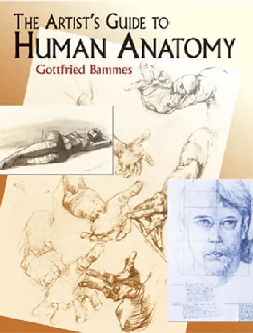 The Artist's Guide to Human Anatomy by Gottfried Bammes