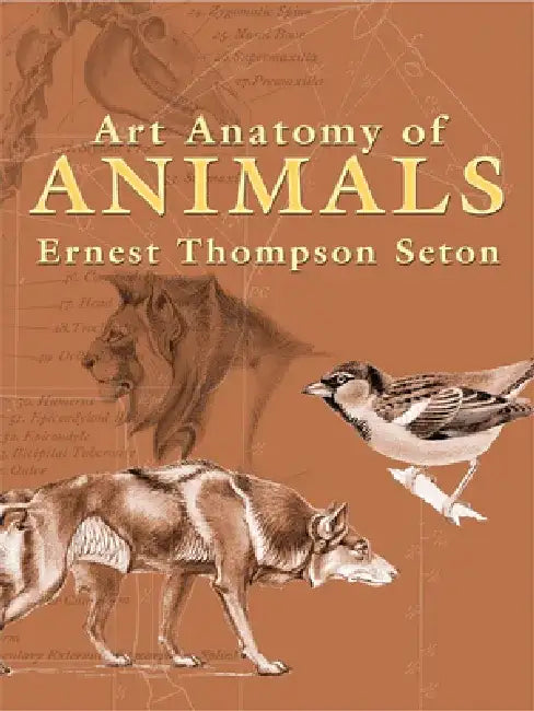 Art Anatomy of Animals by Ernest Thompson Seton