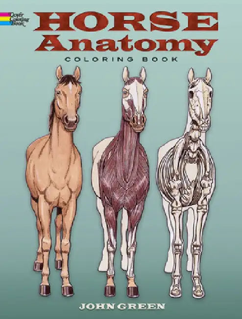 Horse Anatomy Coloring Book by John Green