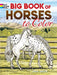 Big Book of Horses to Color by John Green