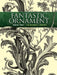 Fantastic Ornament, Series Two: 118 Designs and Motifs by A. Hauser