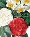 Redouté Fabulous Flowers by Pierre-Joseph Redouté