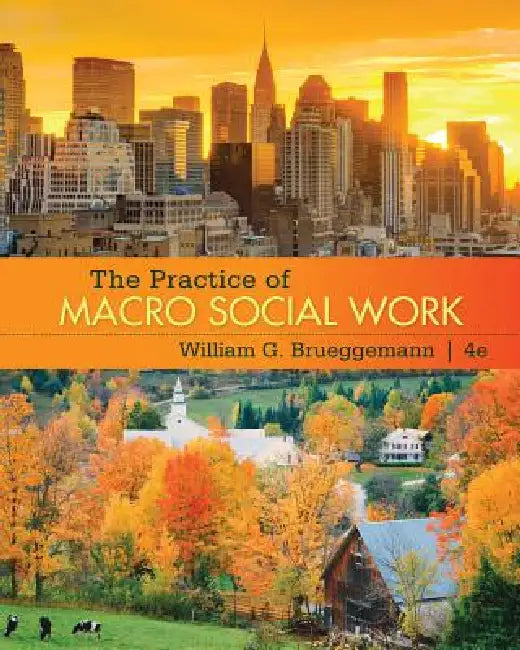 The Practice of Macro Social Work by William Brueggemann