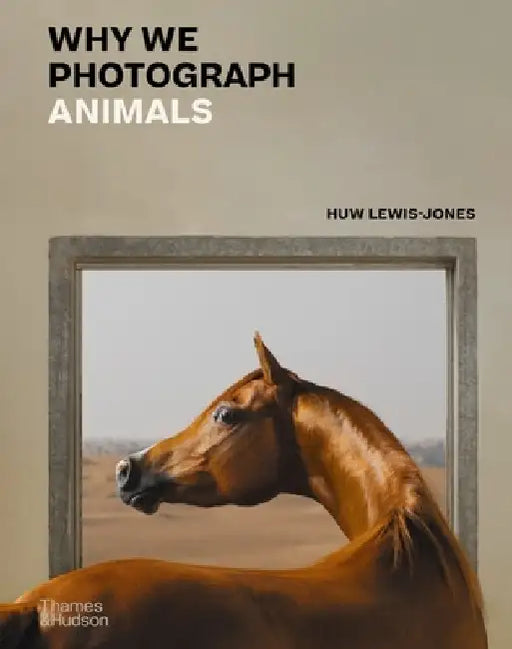 Why We Photograph Animals by Huw Lewis-Jones