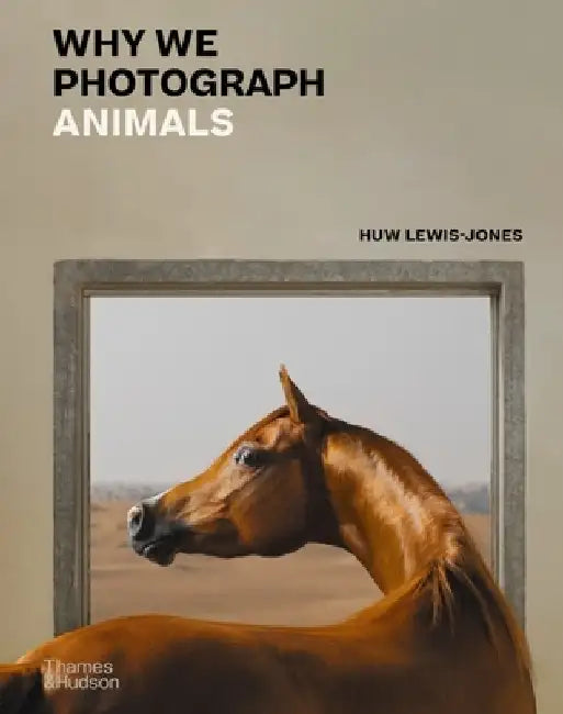 Why We Photograph Animals by Huw Lewis-Jones