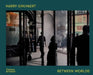 Harry Gruyaert: Between Worlds by David Campany