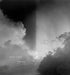 Tracings by Daniel Schwartz